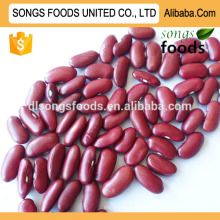 Hot sale red kidney beans seller